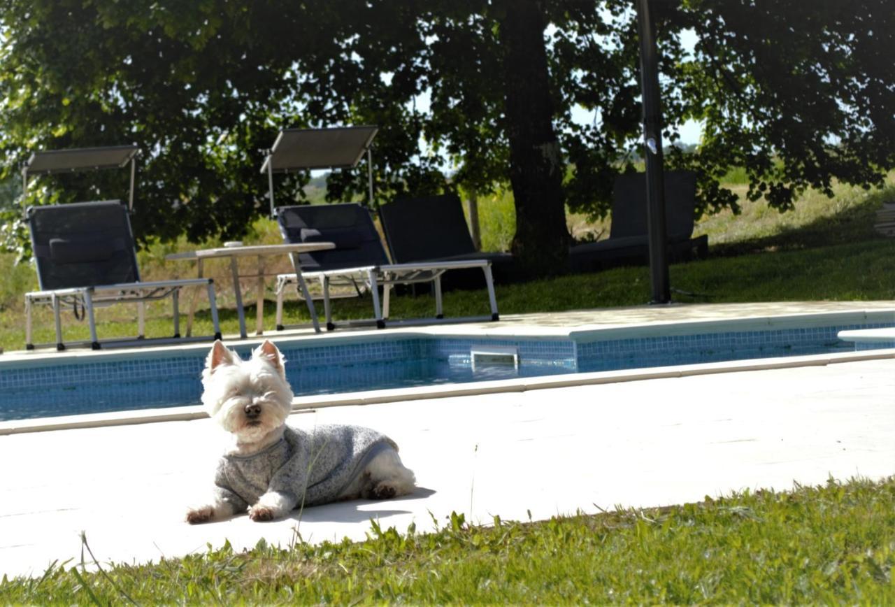 Le Shedeaux Villa Saint-Privat-des-Prés Dış mekan fotoğraf